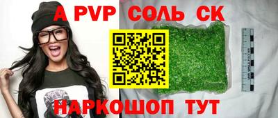 Альфа ПВП Моздок